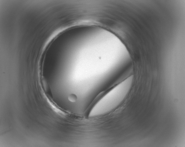 X0000082171430200702021715