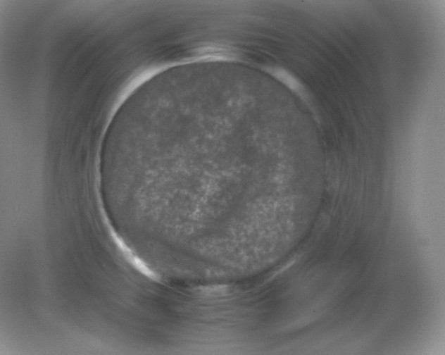 X0000082171431200702021715