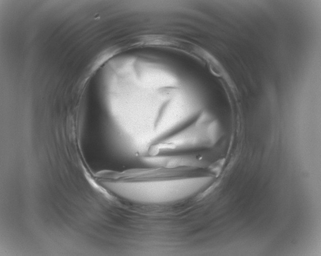 X0000082171433200702021715