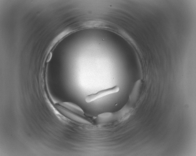 X0000082171434200702021715