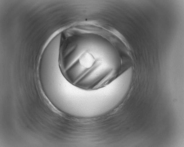 X0000082171436200702021715