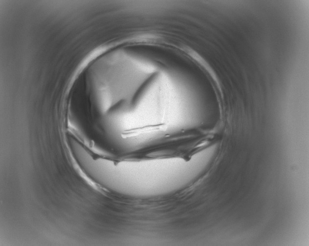 X0000082171437200702021715