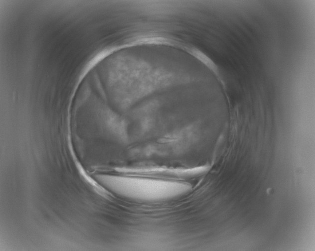 X0000082171439200702021715