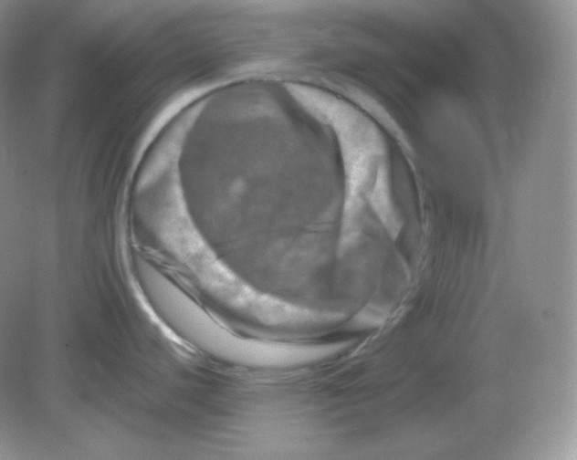 X0000082171440200702021715