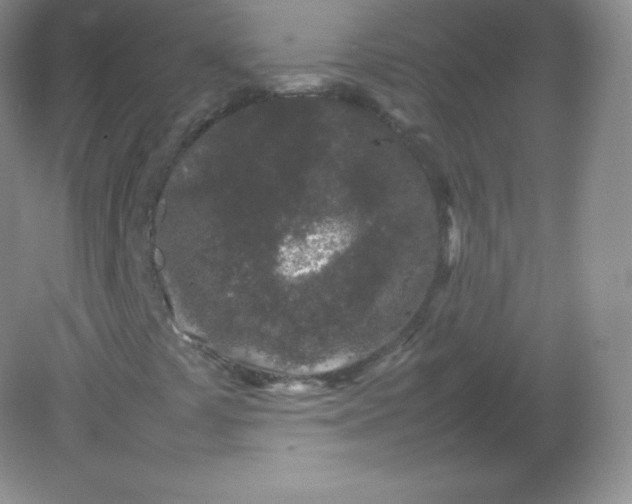 X0000082171441200702021714