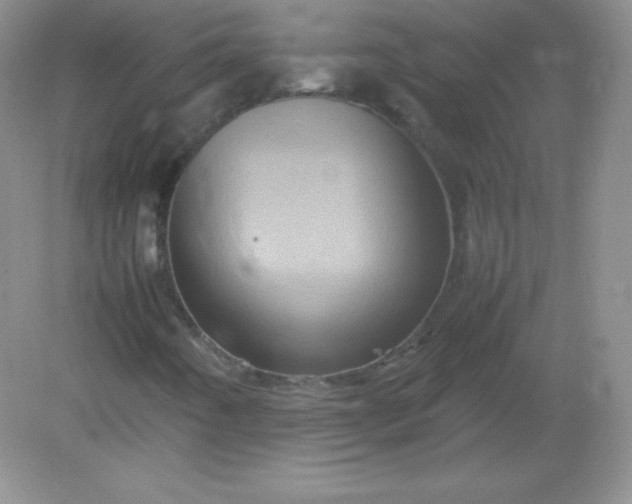 X0000082171442200702021714