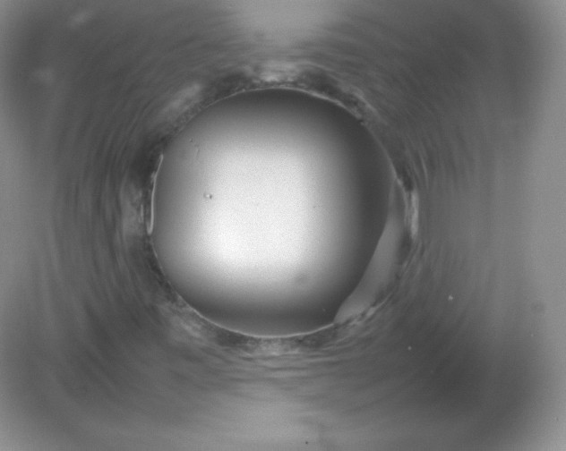 X0000082171443200702021714