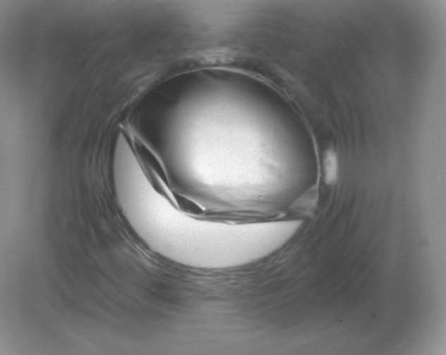 X0000082171444200702021714