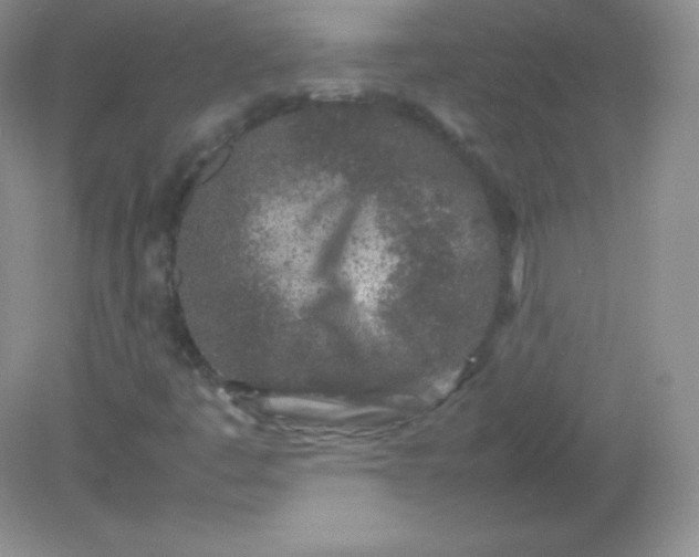 X0000082171445200702021714