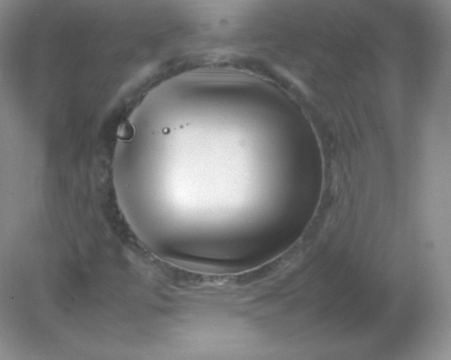 X0000082171447200702021714