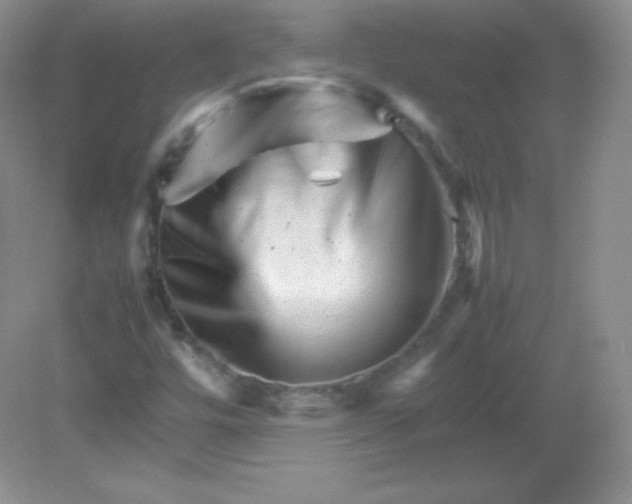 X0000082171448200702021714