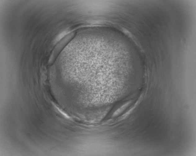 X0000082171449200702021714