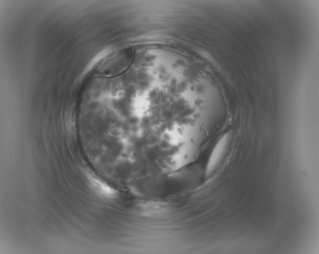 X0000082171450200702021714