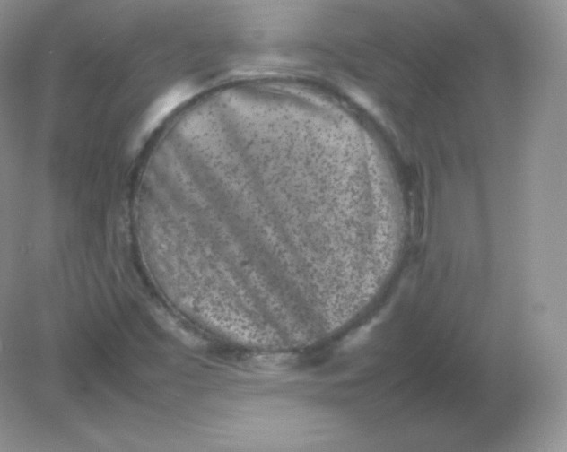 X0000082171453200702021714