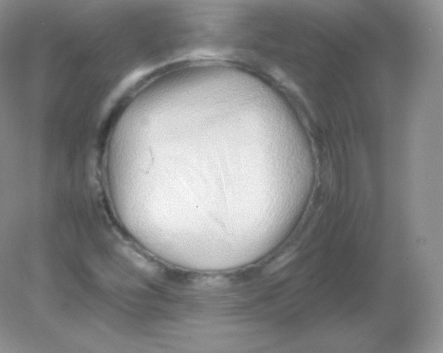 X0000082171454200702021714