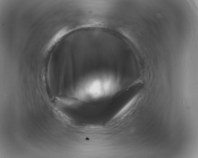 X0000082171455200702021714