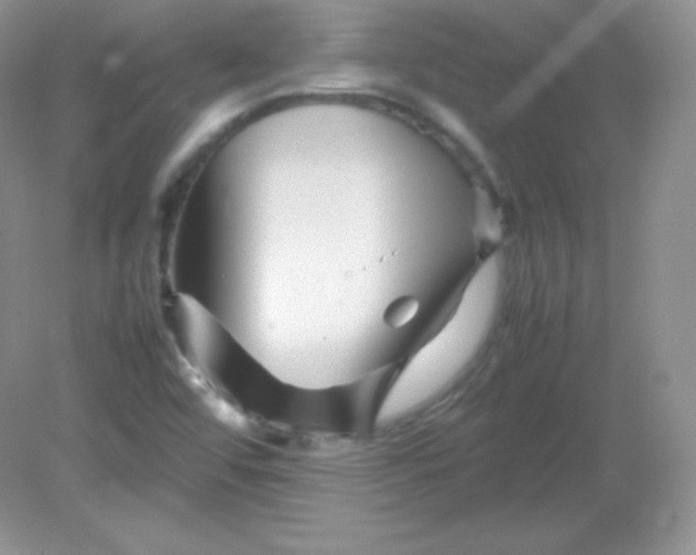 X0000082171456200702021714