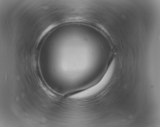 X0000082171458200702021714