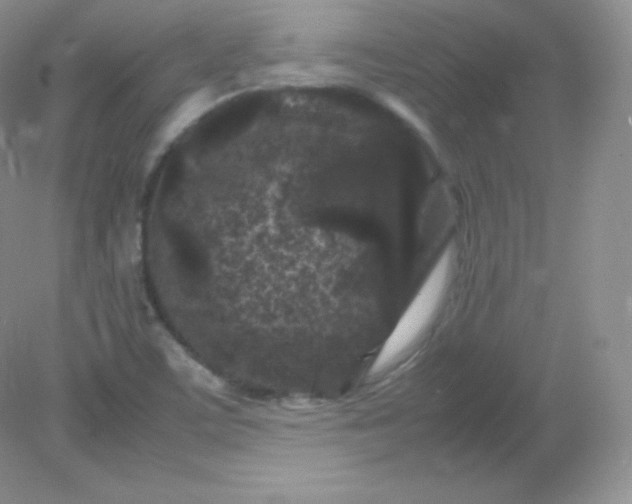 X0000082171459200702021714