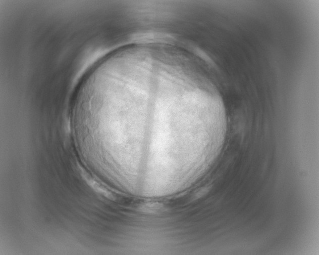 X0000082171462200702021714