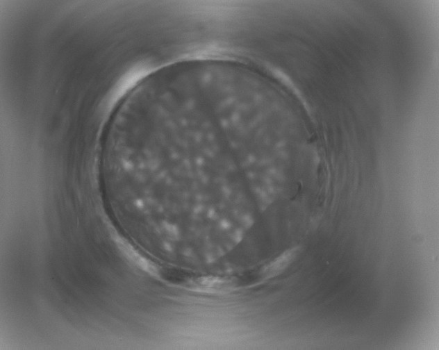 X0000082171463200702021714