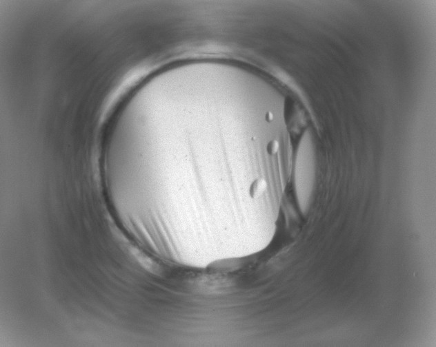 X0000082171464200702021714