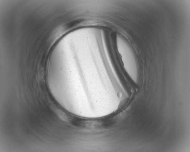 X0000082171465200702021714