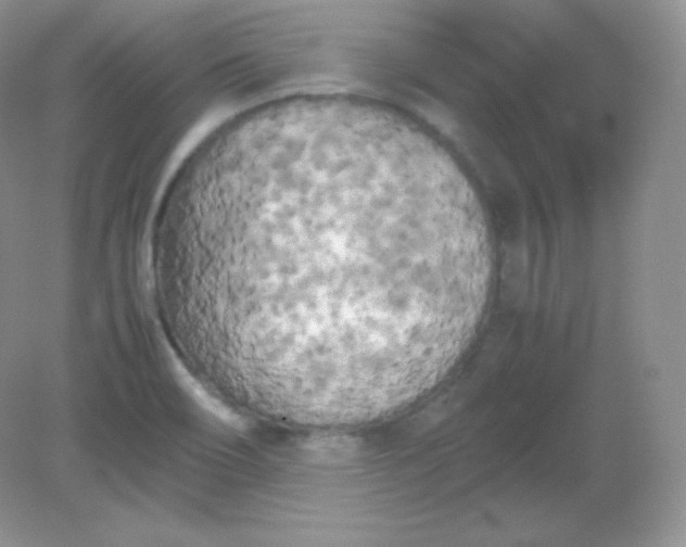 X0000082171466200702021714