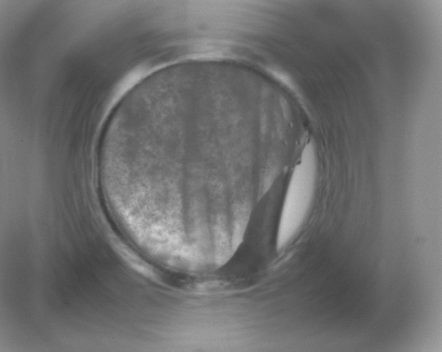 X0000082171467200702021714