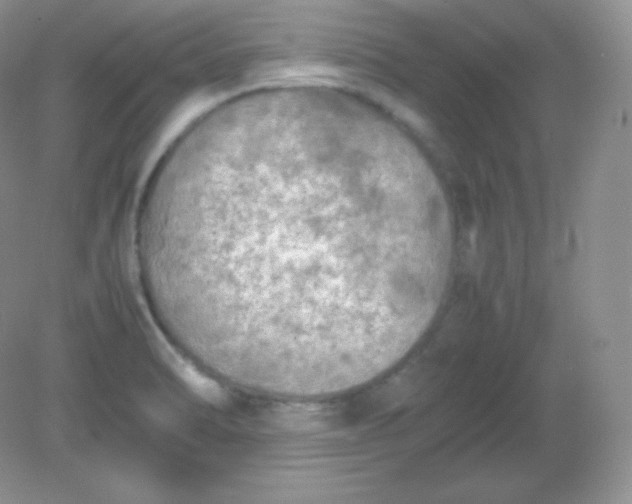 X0000082171470200702021714