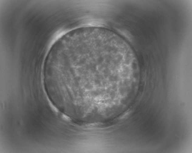 X0000082171471200702021714