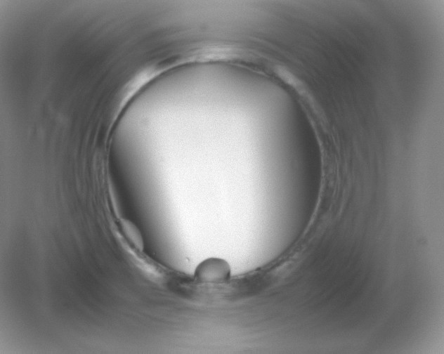 X0000082171473200702021714