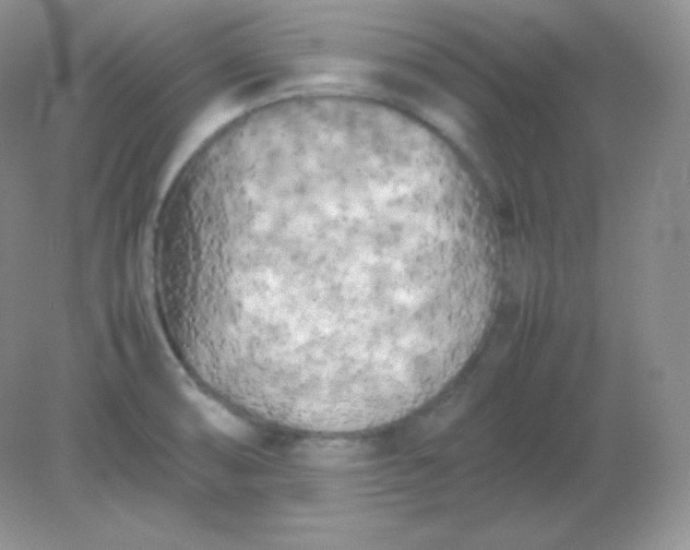 X0000082171474200702021714