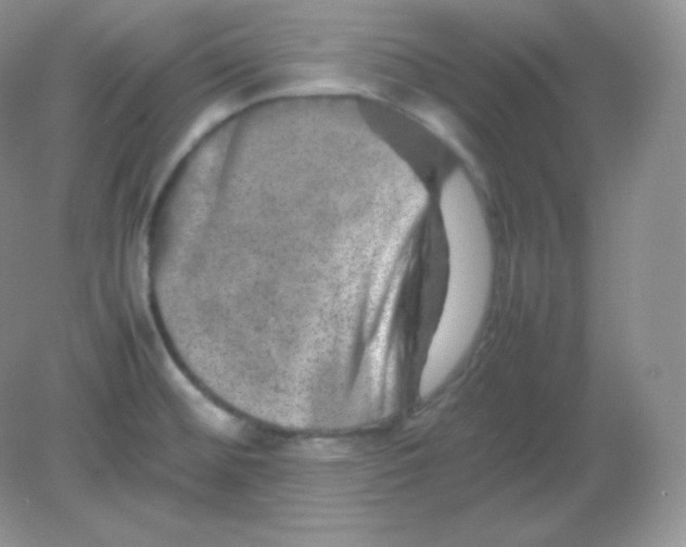 X0000082171476200702021714