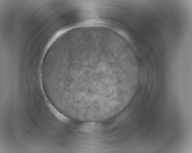 X0000082171478200702021714