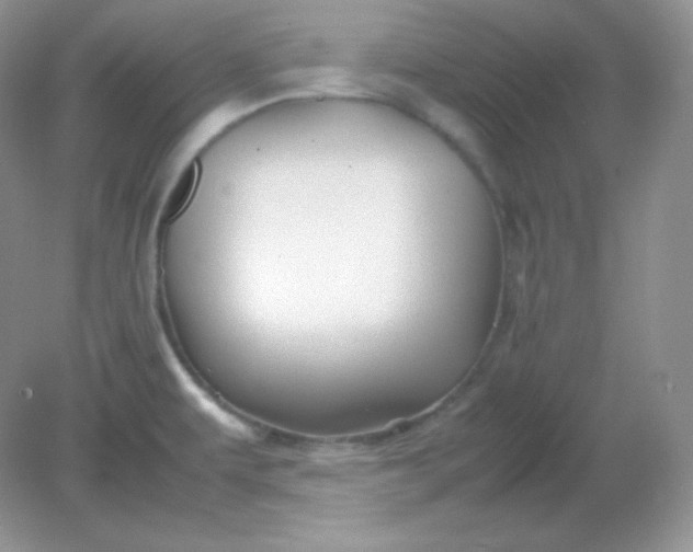 X0000082171479200702021714