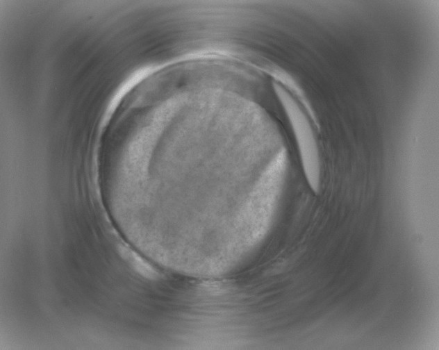 X0000082171480200702021714