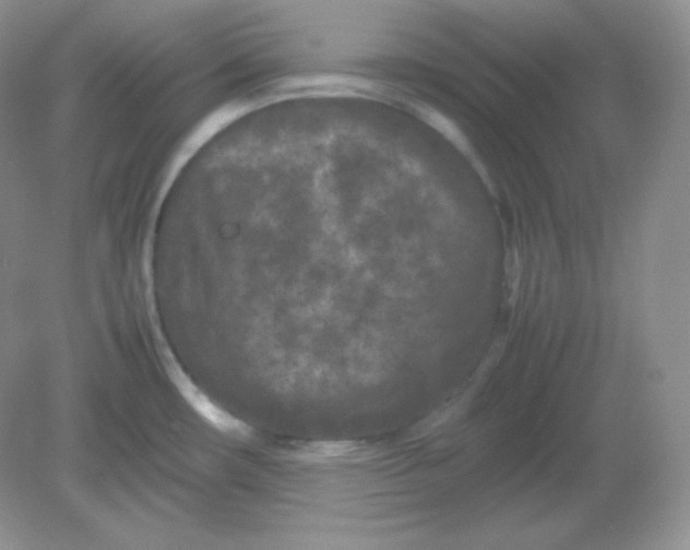 X0000082171482200702021714