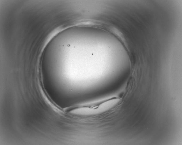 X0000082171483200702021714