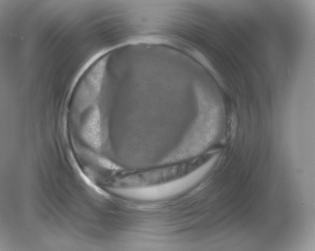 X0000082171484200702021714