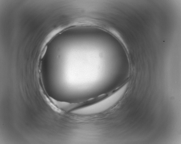 X0000082171485200702021714