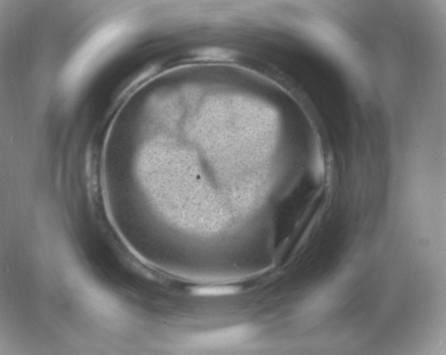 X0000082171487200702021714