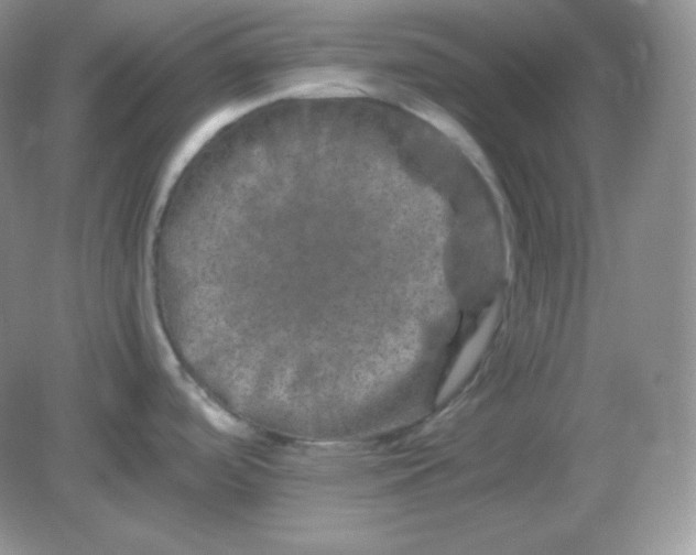 X0000082171488200702021714