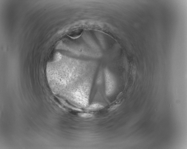 X0000082171489200702021713