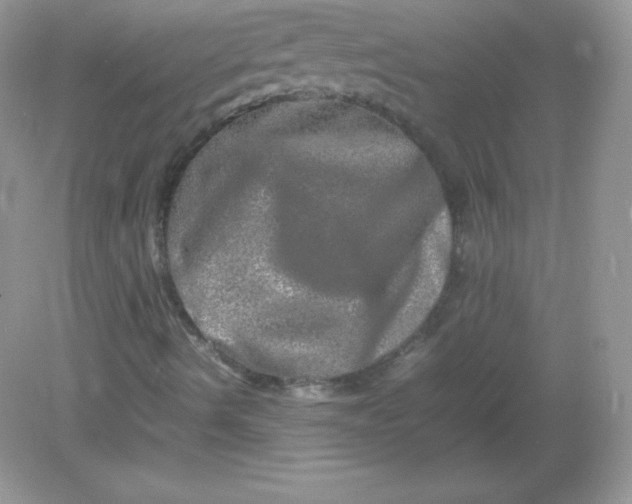 X0000082171490200702021713