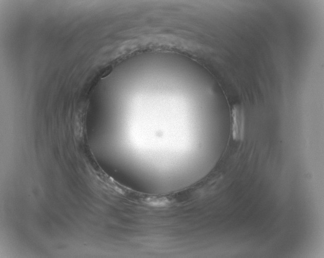 X0000082171491200702021713