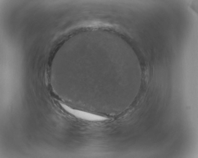 X0000082171493200702021713