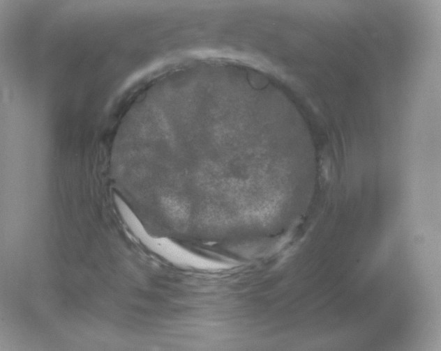 X0000082171494200702021713