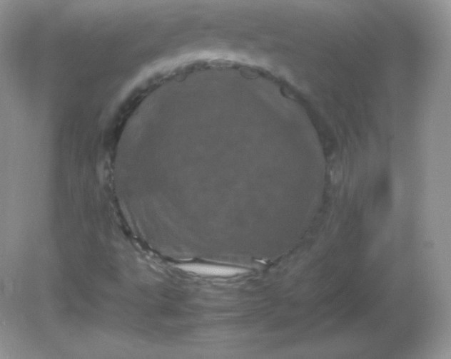 X0000082171495200702021713