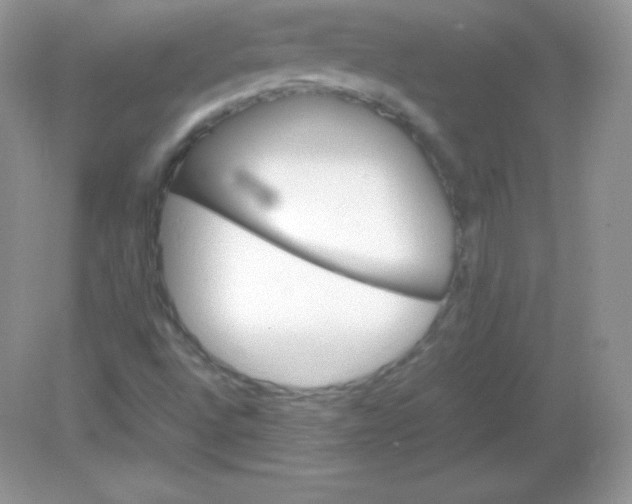 X0000082171496200702021713